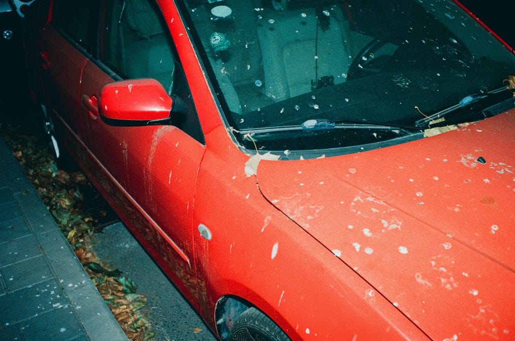 : Car insurance guide: comprehensive coverage for weather damage